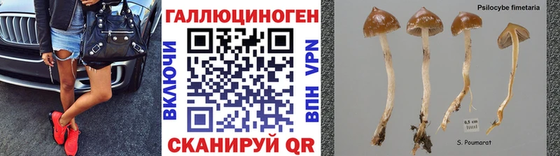 Галлюциногенные грибы мухоморы Катайск
